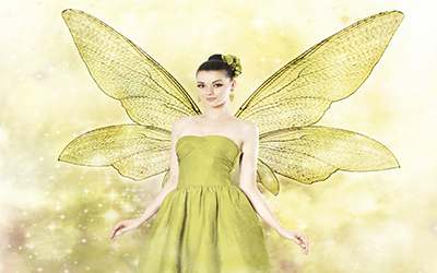 An image of a fairy